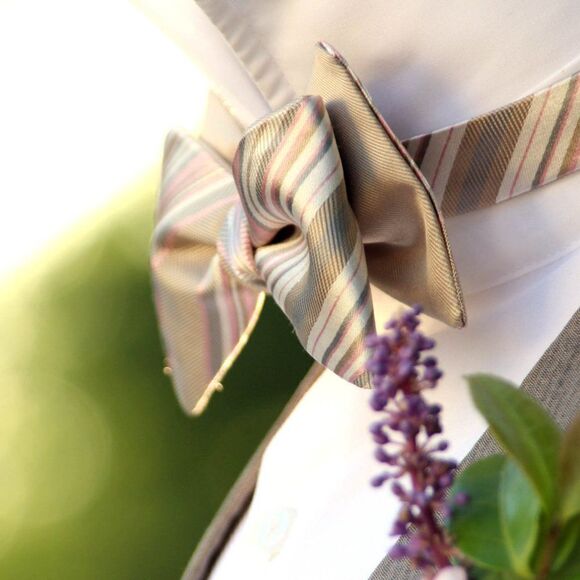 NWT Men's bow tie Silk Self-tied Gift Box S441 Christmas gift Ready to ship - Picture 1 of 8